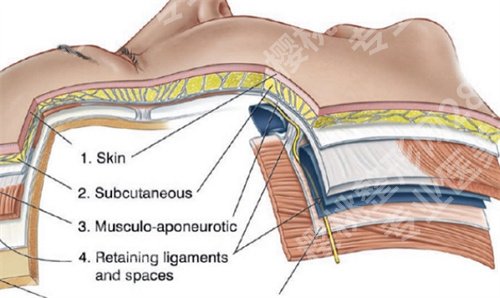 上海第一人民医院除皱多少钱?2025年价格更新