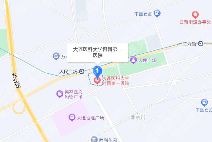 秦宏智医术很厉害吗?医生实力测评+明星项目介绍!就诊必看