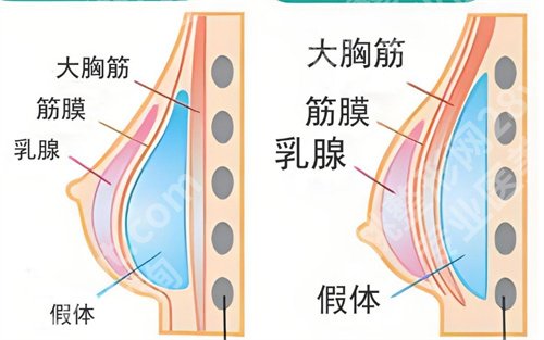 上海东方医院隆胸挂什么科室好?医院亮点介绍