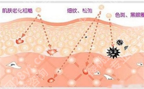 任月娥医生怎么样?医院简介、擅长项目