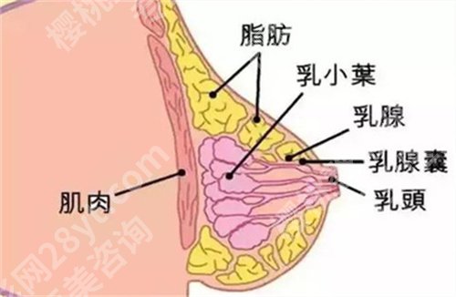 上海华山医院张权医生怎么样?医生详情资料公布