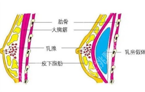 何金光医生简介?特色项目介绍