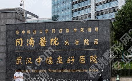 武汉同济医院鼻综合多少钱?手术的价格大概在7000元起