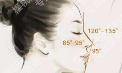 北京刘传仁做鼻子价格是多少?鼻子价格为6280元起!