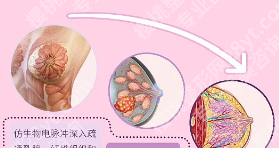 广东省第二人民医院隆胸费用是多少?含医院简介,附医生信息详情