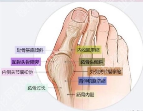 陈圣英和苏敬达谁厉害?两位医生实力点评来袭!
