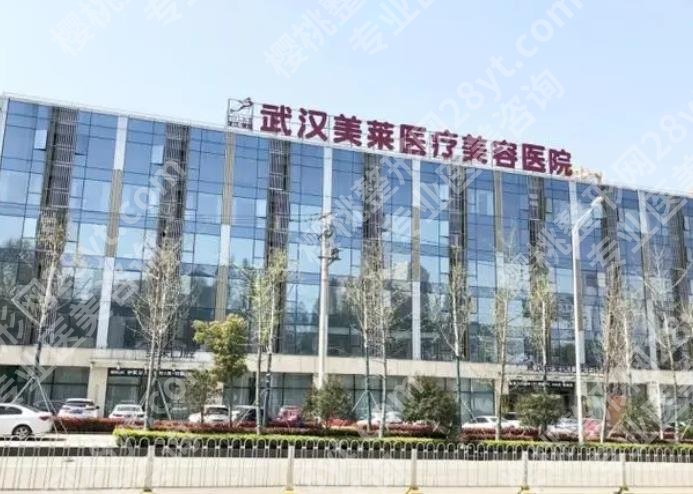 武汉苹果肌复位哪里做好?各医院基本信息在线了解!代表医生推荐