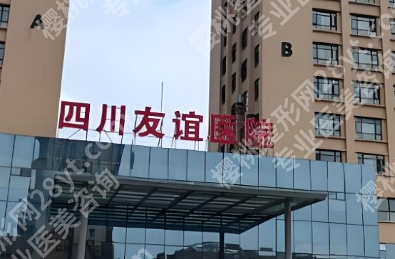 成都李从从医生隆鼻技术怎么样?医生基本信息介绍!附网友体验感反馈!