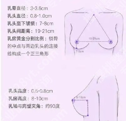 孙泽芳做自体脂肪丰胸技术如何？经典案例附上！来看效果图