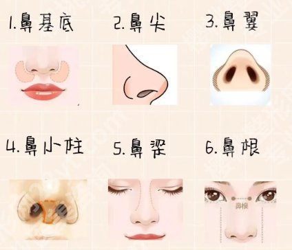 邱文苑做鼻子怎么样？医生基本信息|真人隆鼻案例图展示！