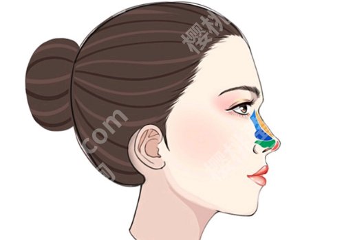 彭栋梁个人简介更新!术后小tips及25年价格表曝光!