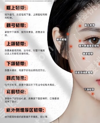 上海面部提升医院推荐!2025年口碑机构实力分享!