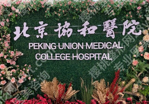 黄渭清技术怎么样?20+经验,附隆鼻项目介绍!