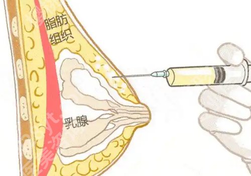 蔡磊医生的个人简介更新!附医生信息、坐诊医院资料!