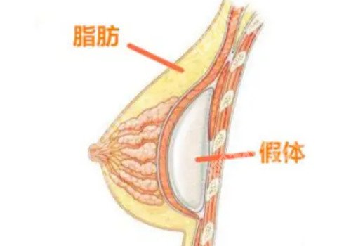 张文超医生的个人荣誉与成就更新!医生技术、资料等在线分享!