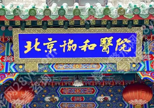 赵茹医生个人背景与成就更新!医生详情及项目科普!