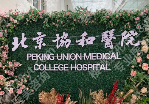 北京协和医院隆胸价格是多少?价格详情及技术点评!