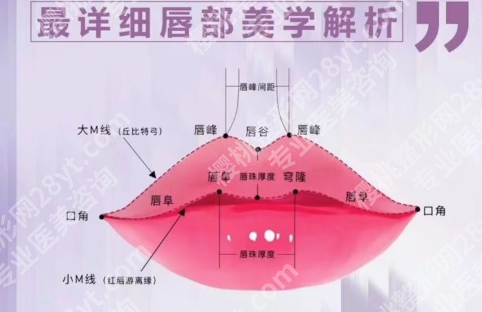 嘉兴丰唇一般多少钱?推荐几家性价比高的医院!