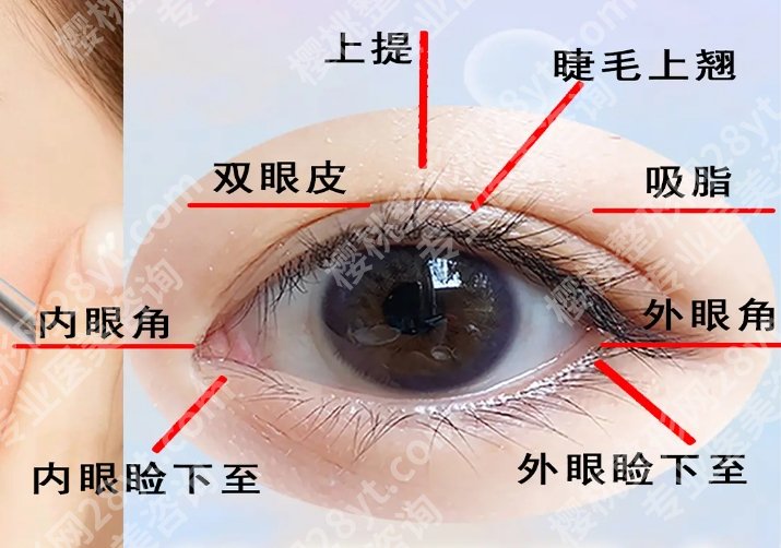 上海九院医美项目价格分享!医院具体资料以及主打项目!