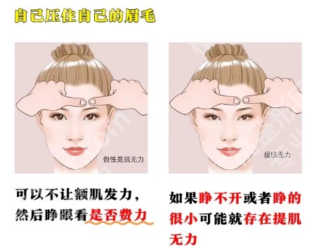 2025泉州双眼皮/开眼角/祛眼袋整形价格表 项目名称 8月高价 8月低价 8月均价 当日参考 全切双眼皮 18783 5330 12056 12307 埋线双眼皮 10722 4553 7637 7714 定点双眼皮