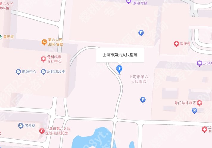 上海第六人民医院口腔科挂号预约方式介绍!附院内案例!
