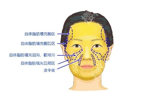 上海九院有哪些医美项目?项目覆盖广,医生多,更多重点分享来袭!