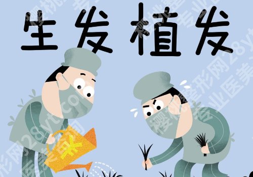 上海九院植发多少钱一根?大概12-25元、医院实力、真实点评一篇扒透