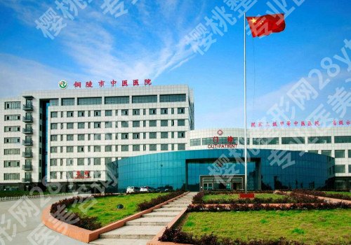 铜陵种植牙多少钱一颗?市人民医院/市立医院等院低至6000元起