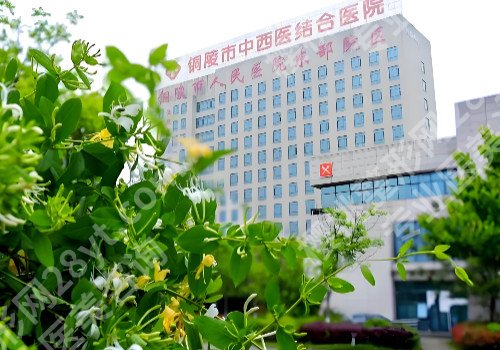 铜陵种植牙多少钱一颗?市人民医院/市立医院等院低至6000元起