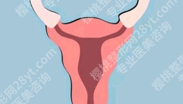 邯郸adm紧缩针哪里可以打?这份本地正规医美机构名单建议收藏