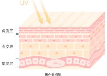 痘坑修复水果酸换肤的果好吗？如何选择医院？费用多少？