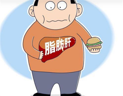 脂肪肝吃什么才能减掉肝脏上的脂肪？如何避免脂肪肝产生？