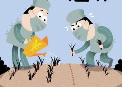 tddp植发技术怎么样？内有实例案例分享