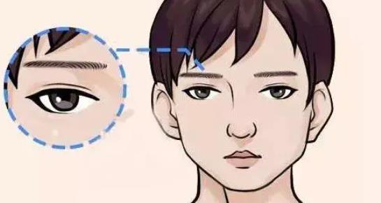 男士纹眉果图分享!适合男生的款式有哪些?真人体验来袭