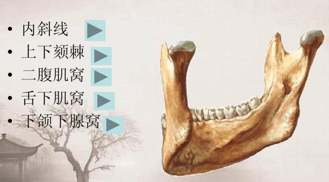下颌骨整形价钱贵吗?做下颌角整形手术需要注意哪些事情?