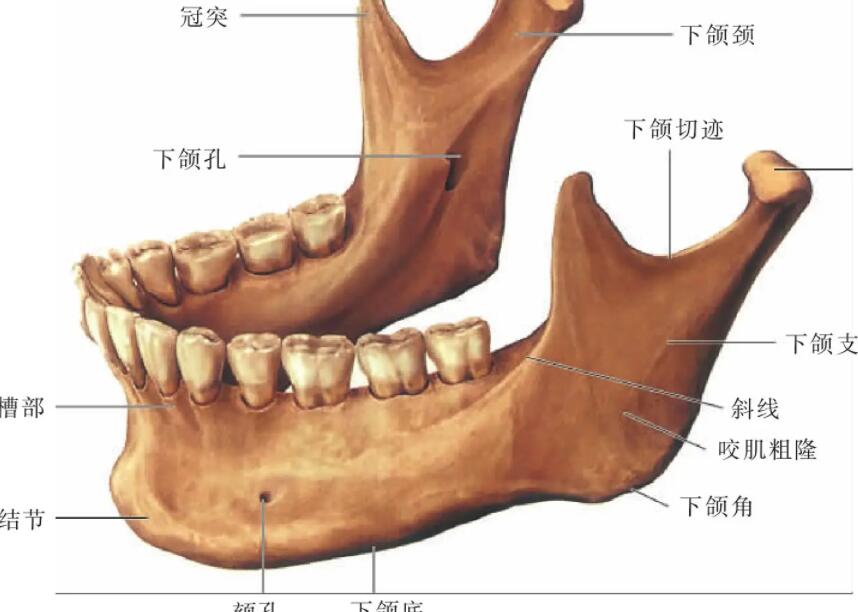 徐学东医生怎么样？医生实力点评及真人瘦脸果图！