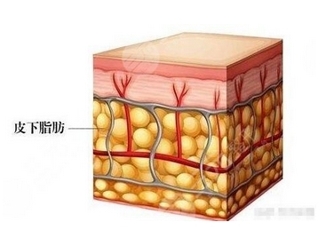 镭射溶脂价格是多少呢?注意事项有哪些呢?反手就是一个收藏!