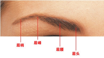 眉粉好还是眉笔好？美妆达人用这几招！新手攻略来袭~