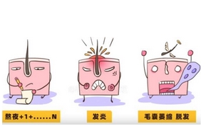 头上长红疙瘩毛囊炎怎么调节?毛囊炎会导致脱发吗?有哪些调节方法呢?