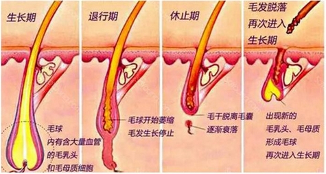 北京大学人民医院激光美容中心脱毛如何？魏蜀一、李广学医生谁的技术好一些？技术优势点评~