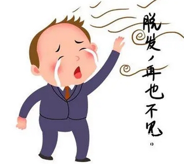 溢脂性脱发几天洗一次头好？脱发是因为什么呢？出现脱发后，怎么样改良？