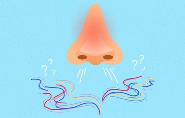 鼻子怎么变小?鼻子缩小手术的费用多少呢?小巧鼻整形术后指南!小白必看~