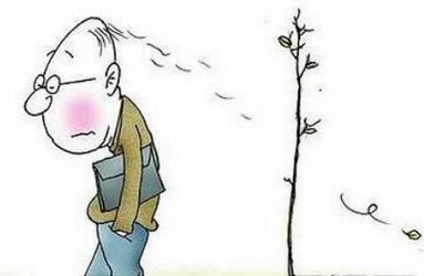 如何调节脱发?种植头发的费用是多少呢?带你了解植发方法!