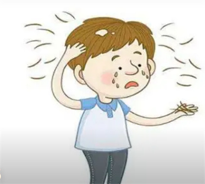 种头发价格是怎样算的?种头发价格受哪些因素影响?