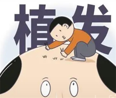 微针植发怎么样？微针植发手术创伤小吗？
