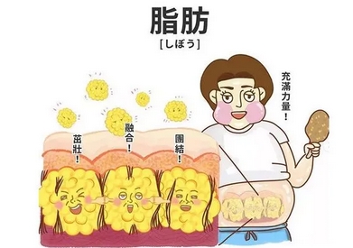 成都汉密尔顿美容医院怎么样？医生介绍这位实力派！抽脂严选机构~