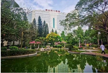 佛山市一毛发种植的费用是多少？真实案例怎么样？还有哪些相关知识需要了解~