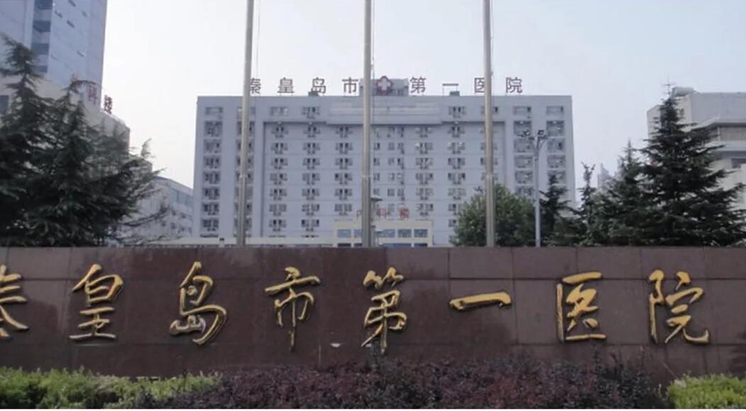 秦皇岛市第一医院武凤莲案例展示！医生实力点评及隆鼻效果图分享！