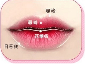 上唇M下唇花瓣怎么样?费用需要花费多少呢?这种唇形超诱人!