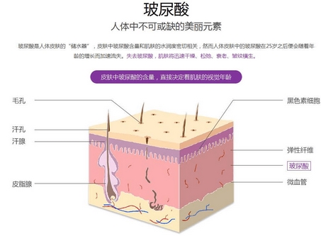 注射胶原蛋白和玻尿酸哪个好一点？如何选择医院呢？需要如何护理呢？